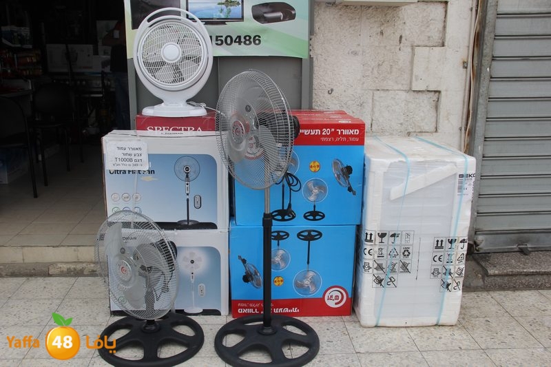 adam electric (21).JPG